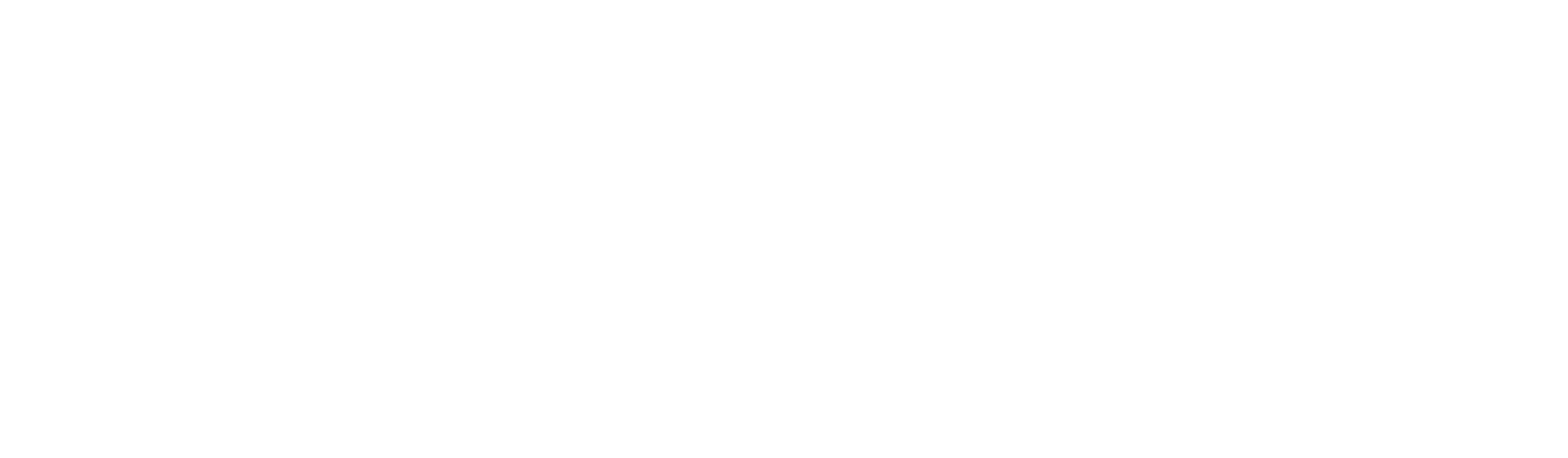 Logo fundacji trans fuzja